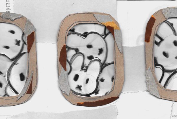 Specialisatierichting Brand Design – Nora