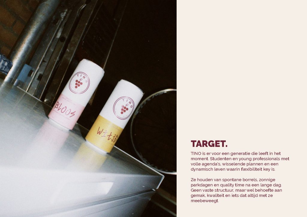 TINO Brandguide Minouche van Mourik 1804223_Page_07