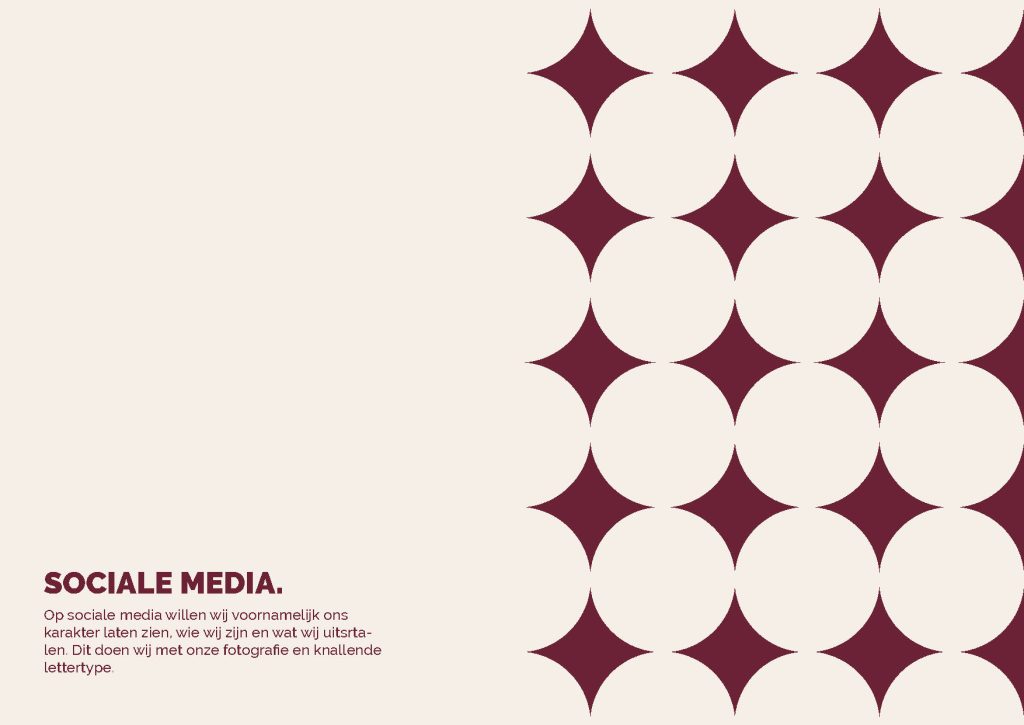 TINO Brandguide Minouche van Mourik 1804223_Page_38